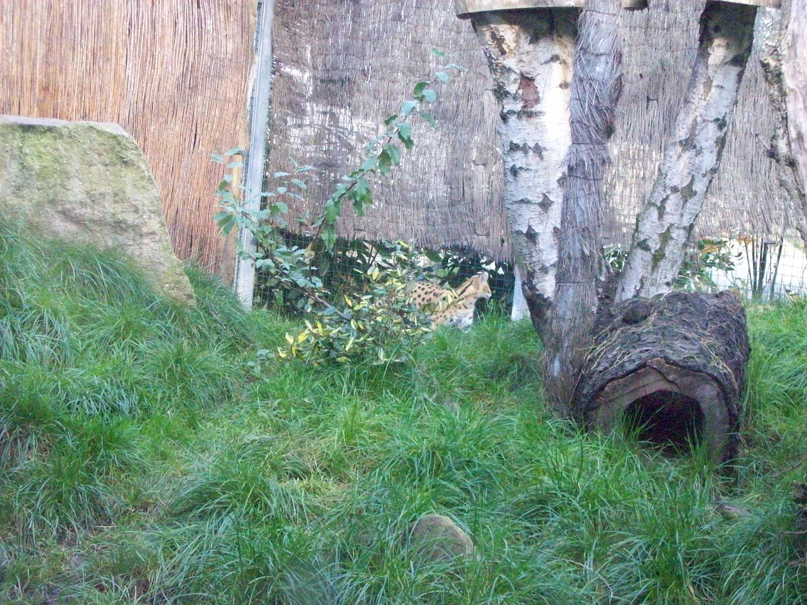 Zoom 18.10.2008-197.jpg